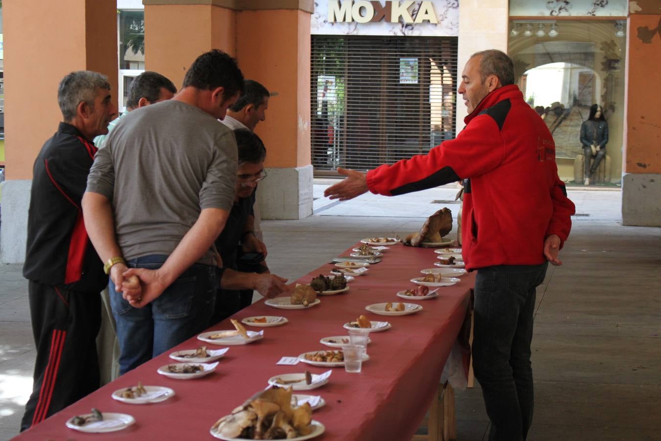 Jornada micológica en Alfaro