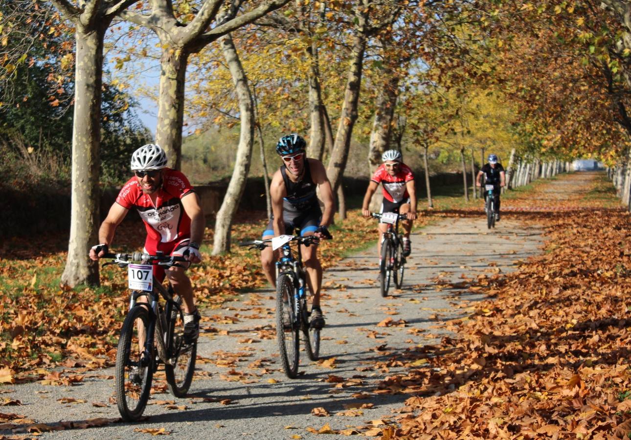 Alain Santamaría gana el X Duatlón Cros Valle del Oja