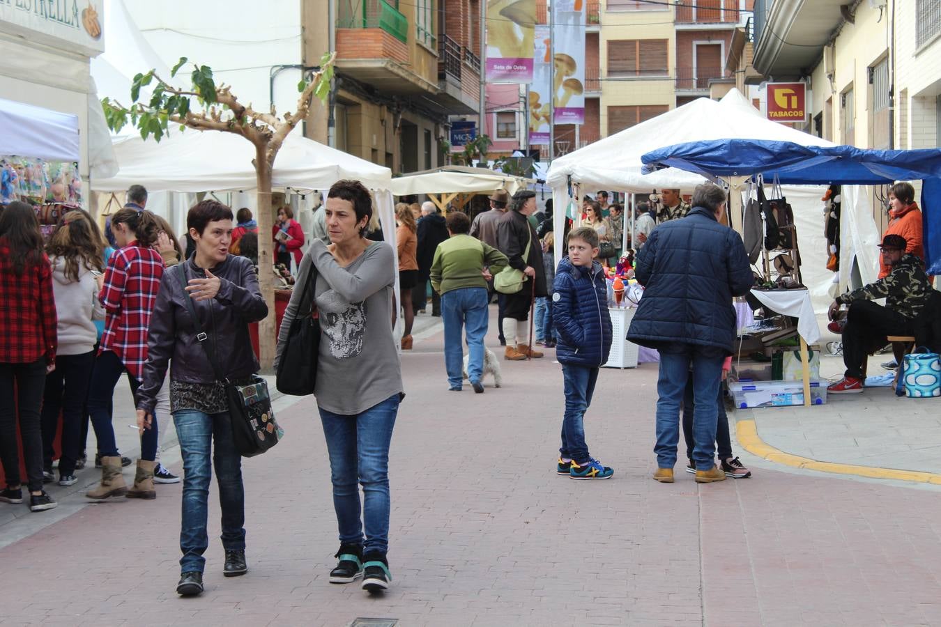 Setas y champiñones en Autol