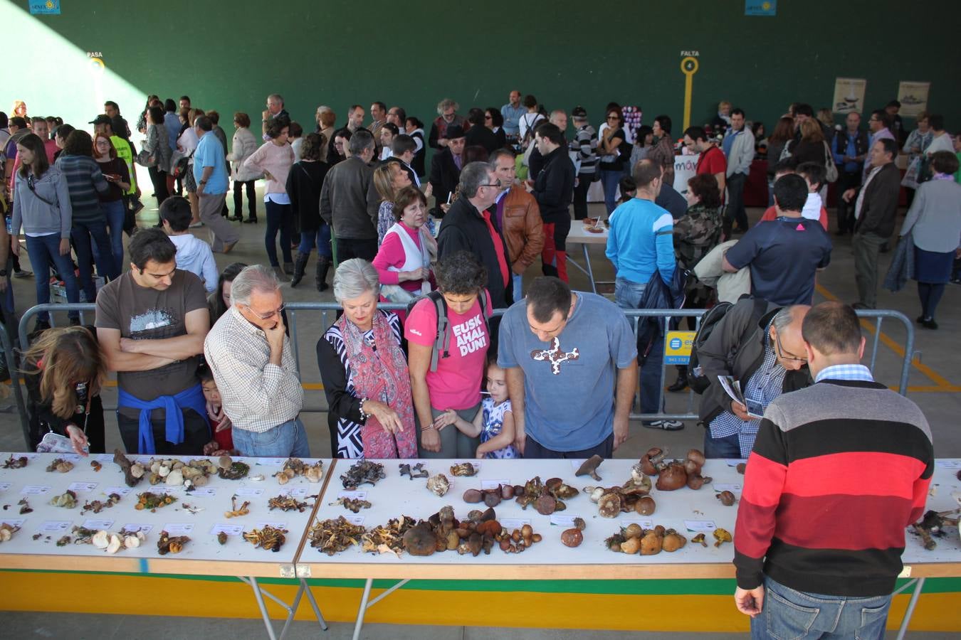 Jornadas micológicas en Arnedillo