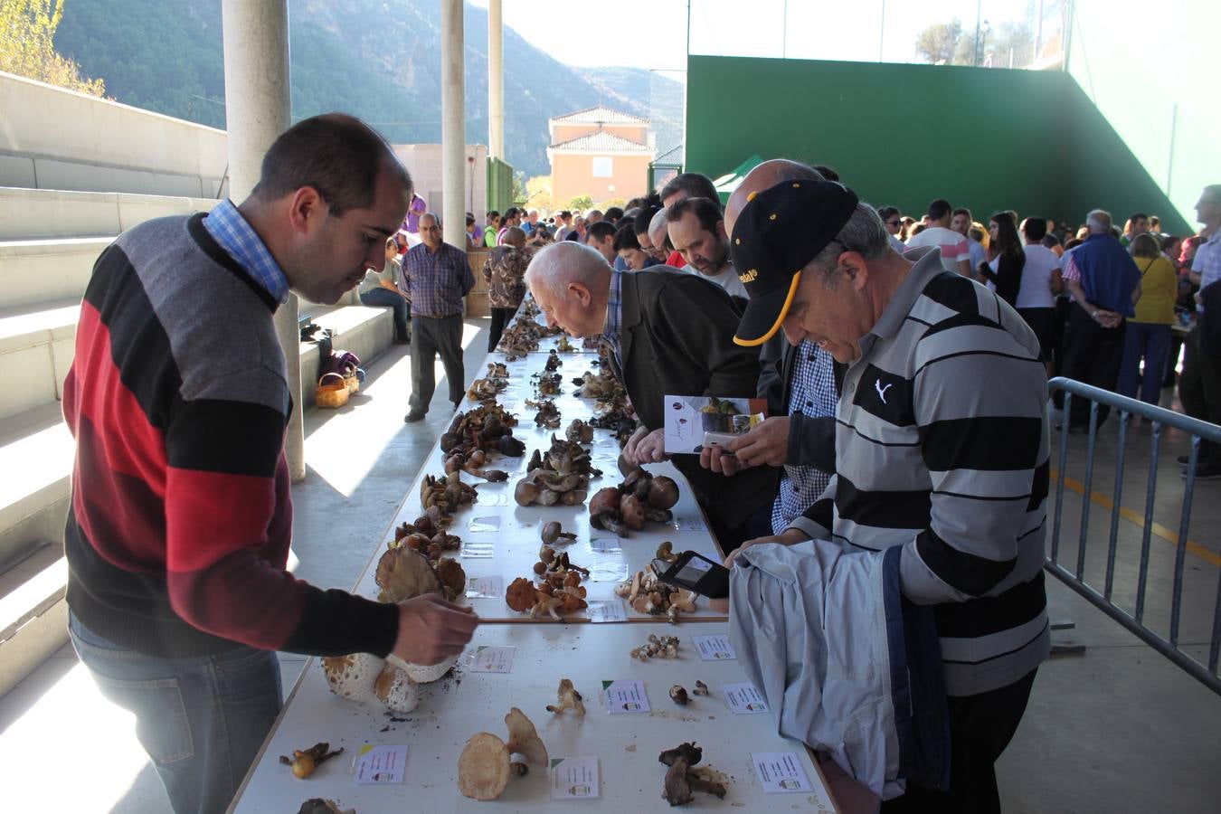 Jornadas micológicas en Arnedillo