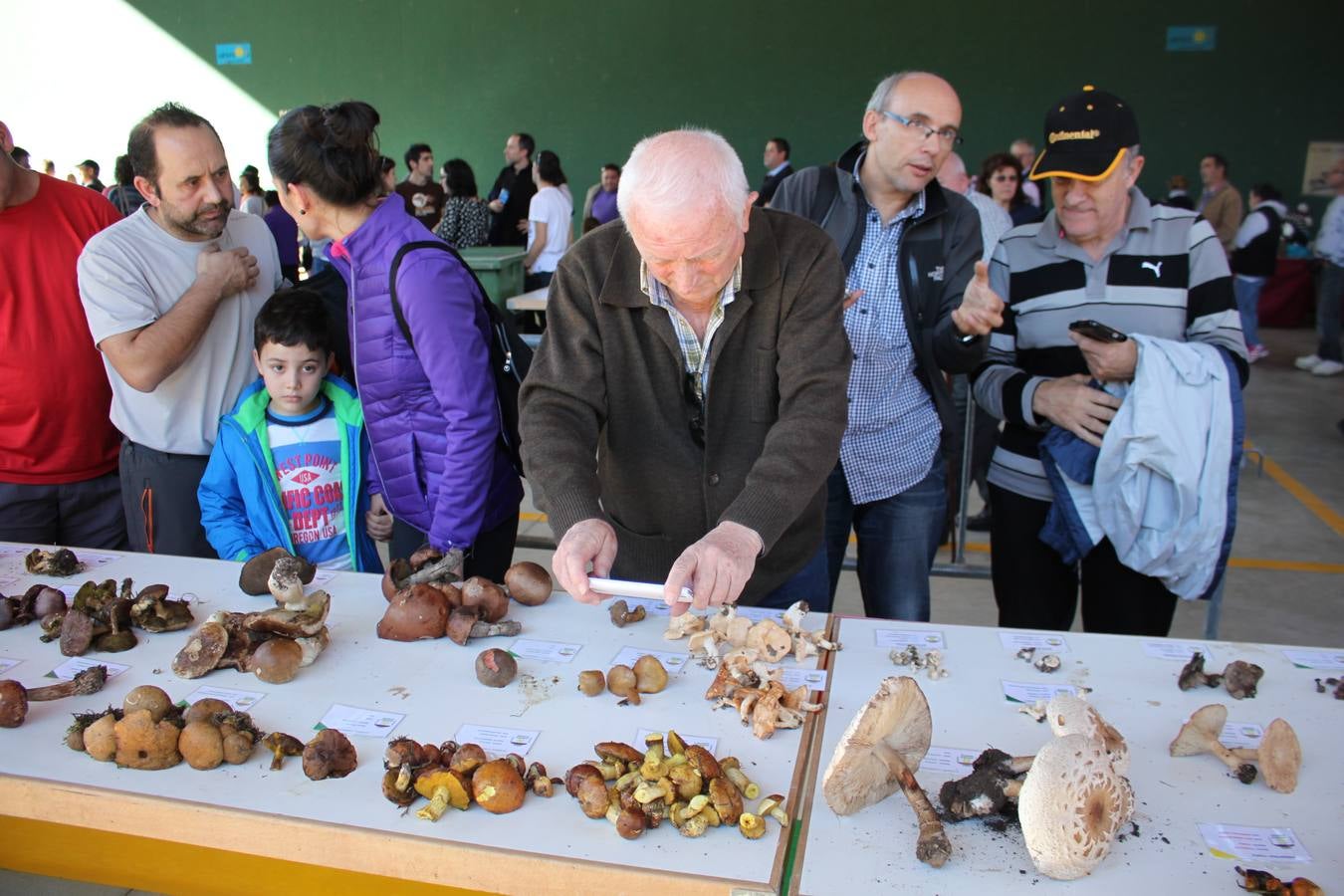 Jornadas micológicas en Arnedillo