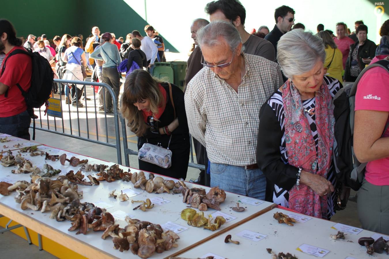 Jornadas micológicas en Arnedillo