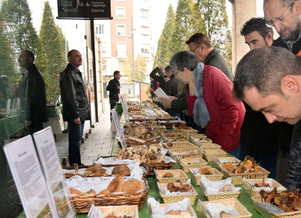 XIV Jornadas Micológicas de Otoño en Logroño