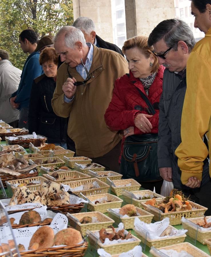 XIV Jornadas Micológicas de Otoño en Logroño