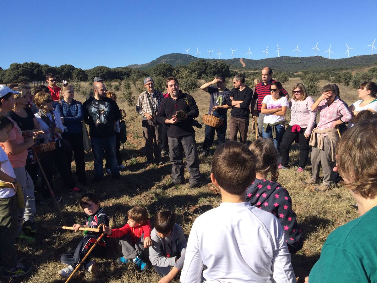 Jornadas micológicas de Villarroya II