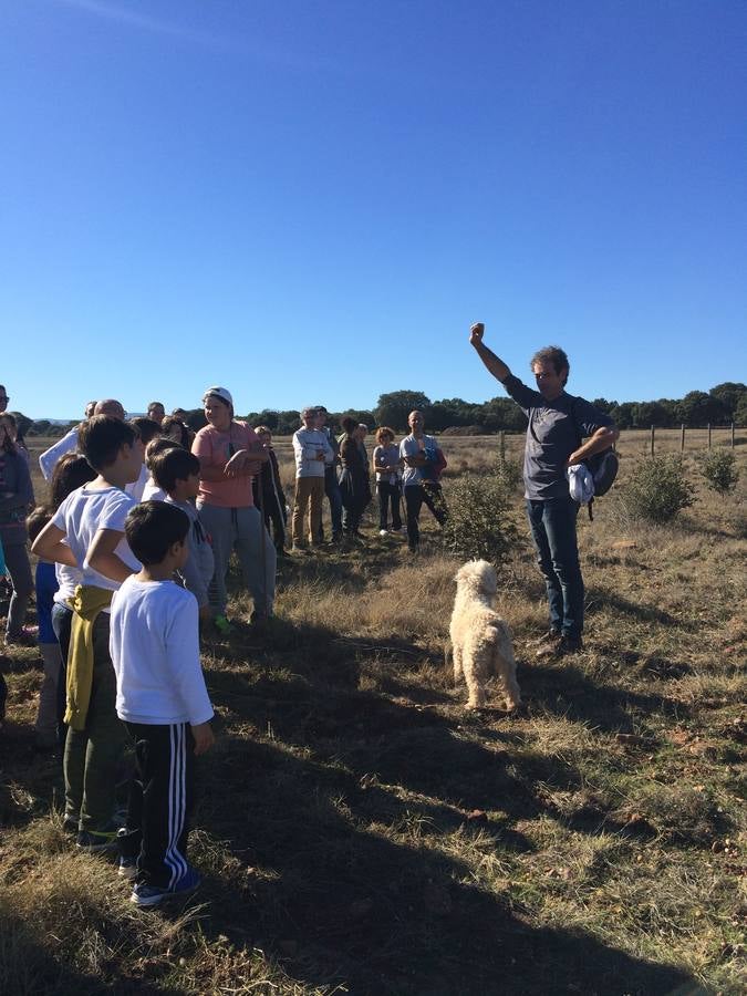 Jornadas micológicas de Villarroya II