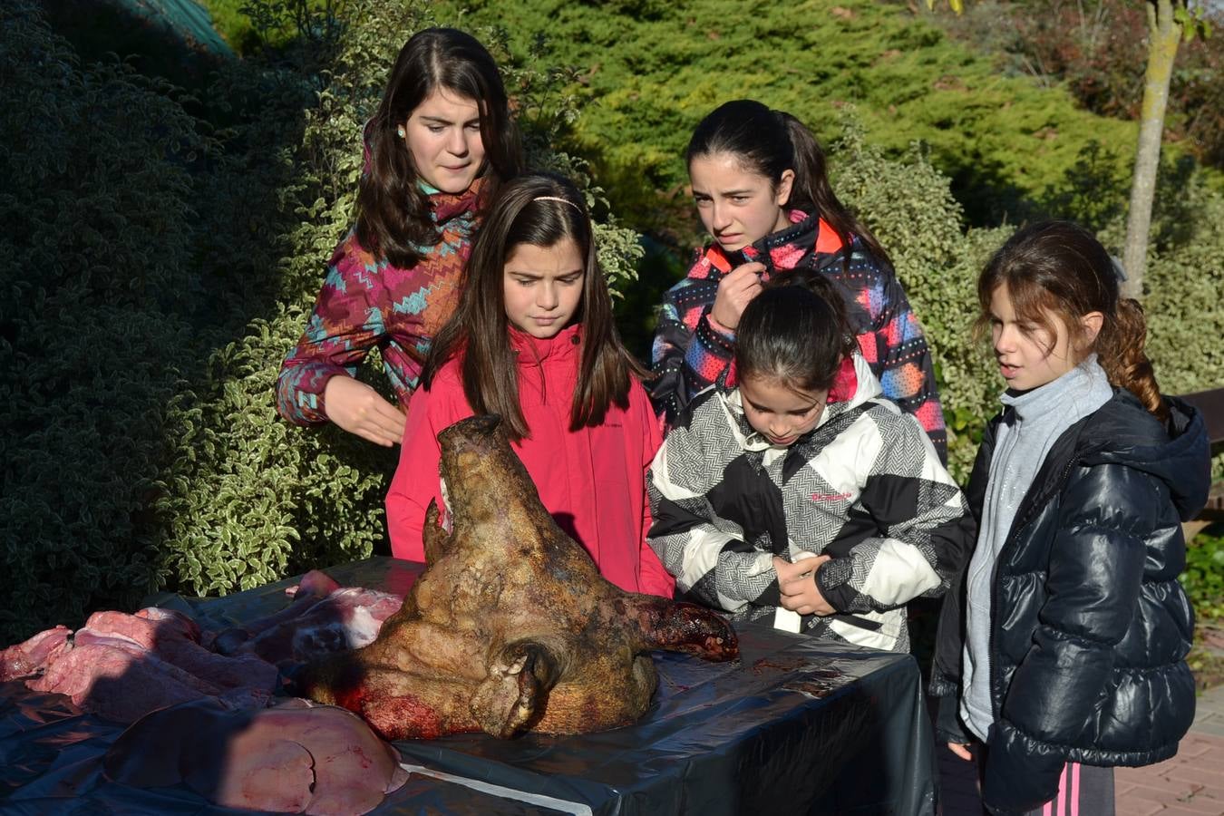 La Matanza Extremeña de Ventosa