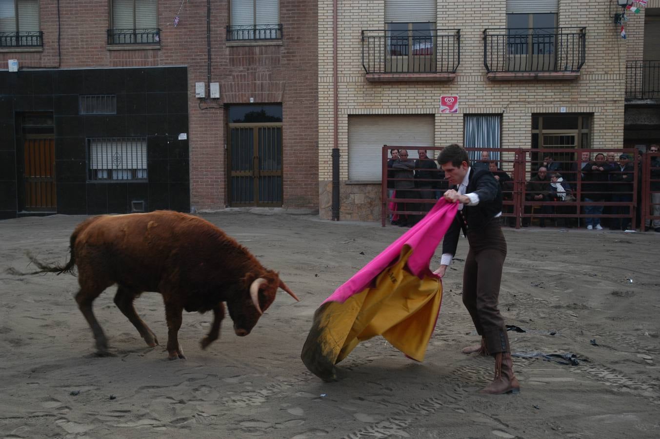 Vaquillas en Rincón de Olivedo