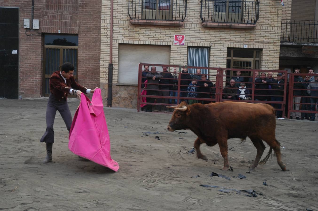 Vaquillas en Rincón de Olivedo