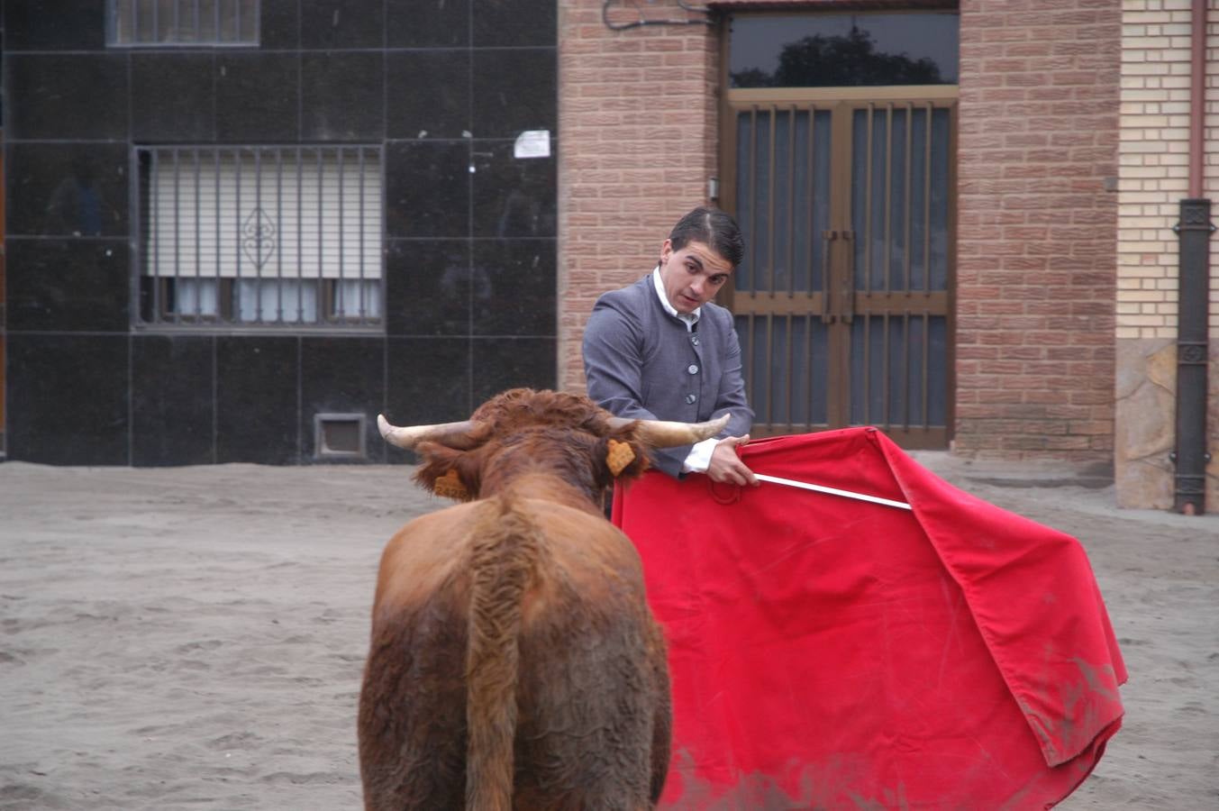 Vaquillas en Rincón de Olivedo