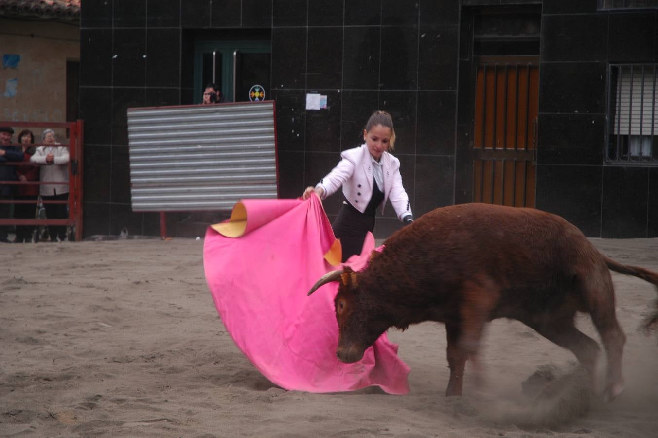 Vaquillas en Rincón de Olivedo