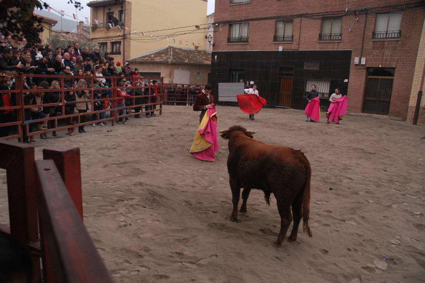 Vaquillas en Rincón de Olivedo