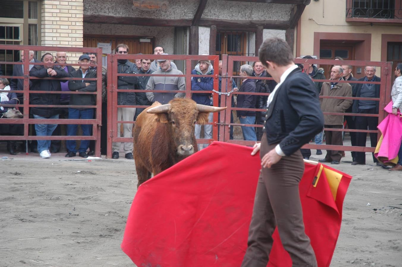 Bolsín taurino en Rincón de Olivedo