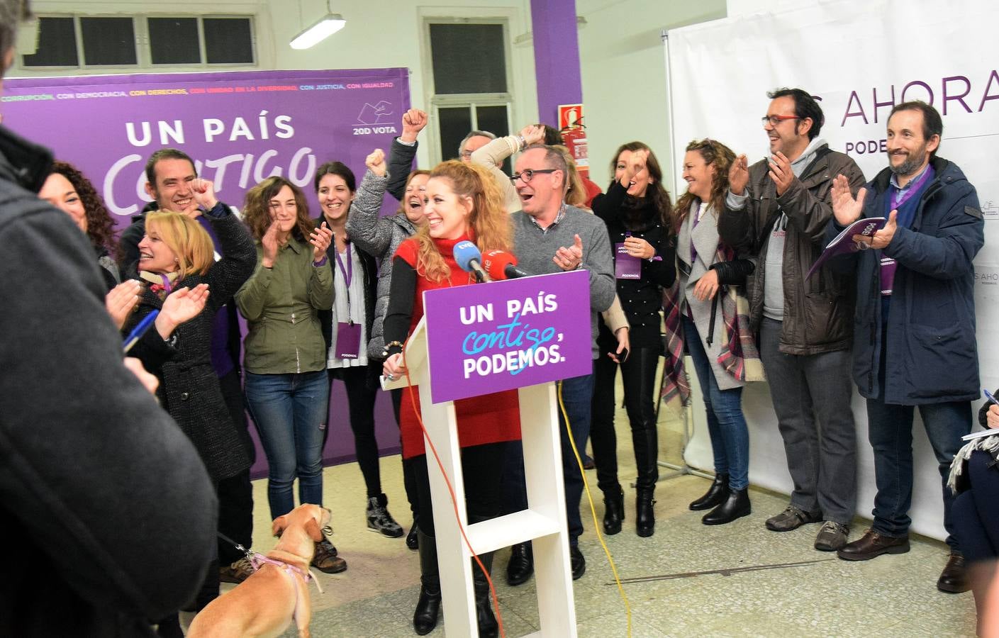 Podemos consigue un escaño