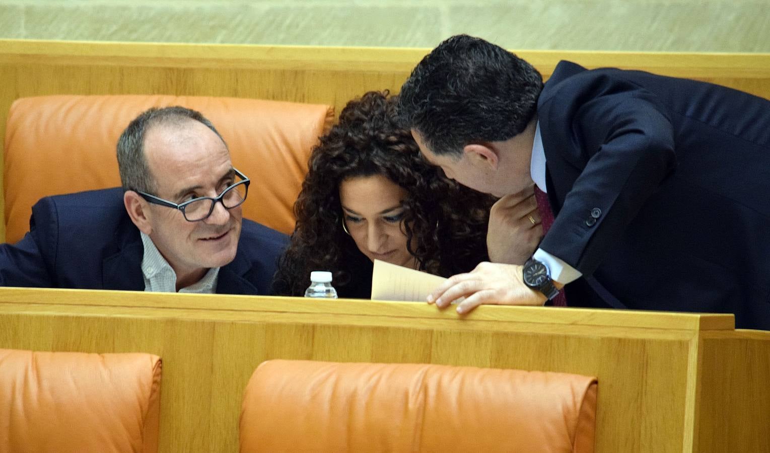 Gestos y manos alzadas (o no) en el Parlamento riojano