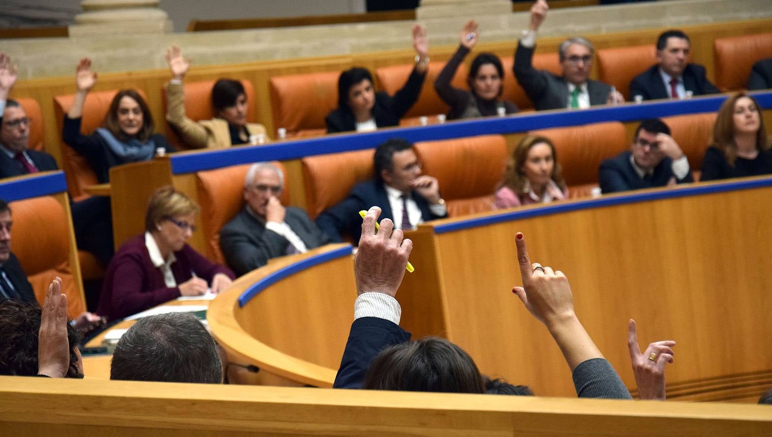 Gestos y manos alzadas (o no) en el Parlamento riojano