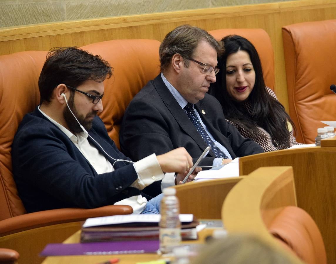 Gestos y manos alzadas (o no) en el Parlamento riojano