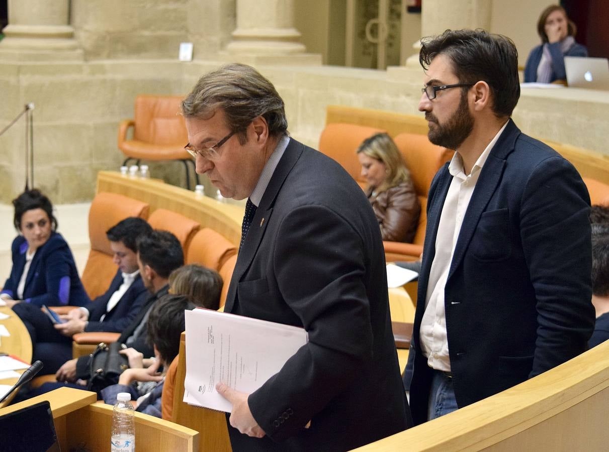 Gestos y manos alzadas (o no) en el Parlamento riojano