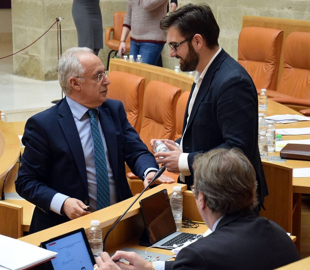 Gestos y manos alzadas (o no) en el Parlamento riojano