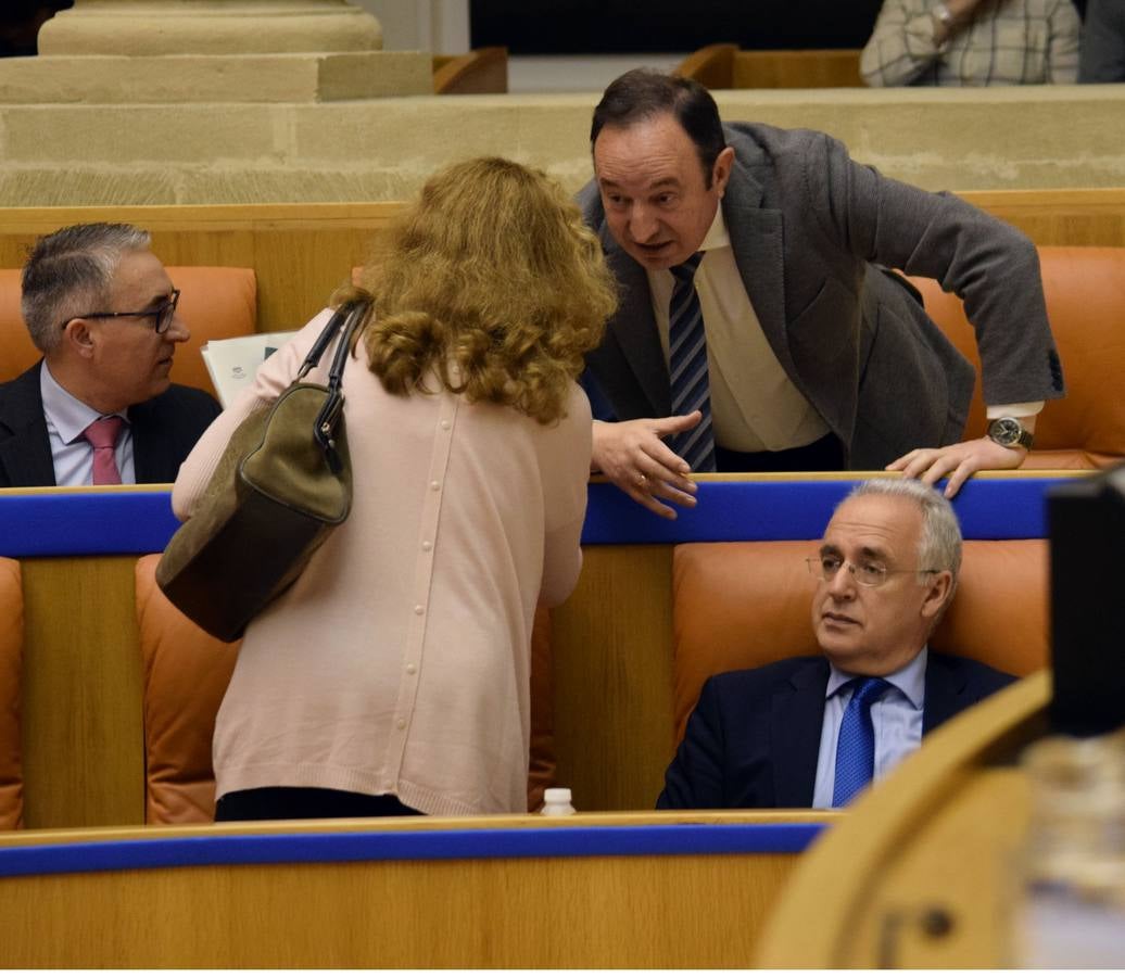 Los gestos de la sesión en el Parlamento de La Rioja