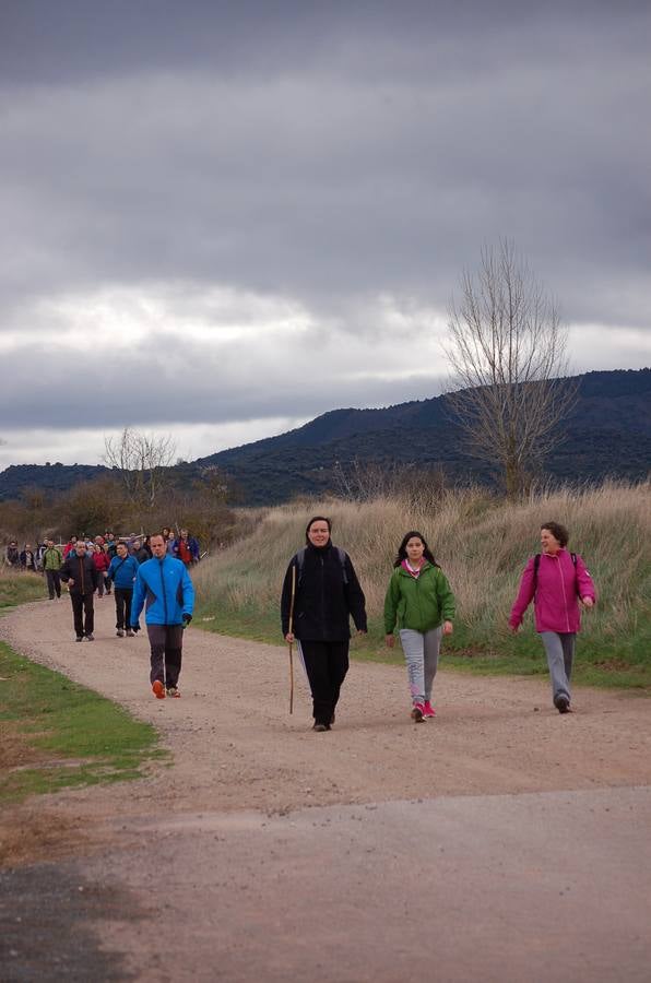 Paseo saludable en Nájera