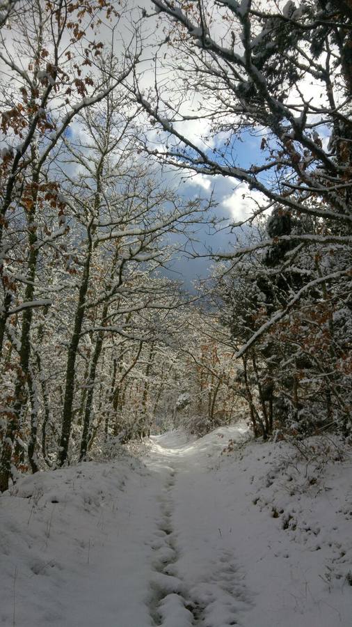El rasillo, en blanco