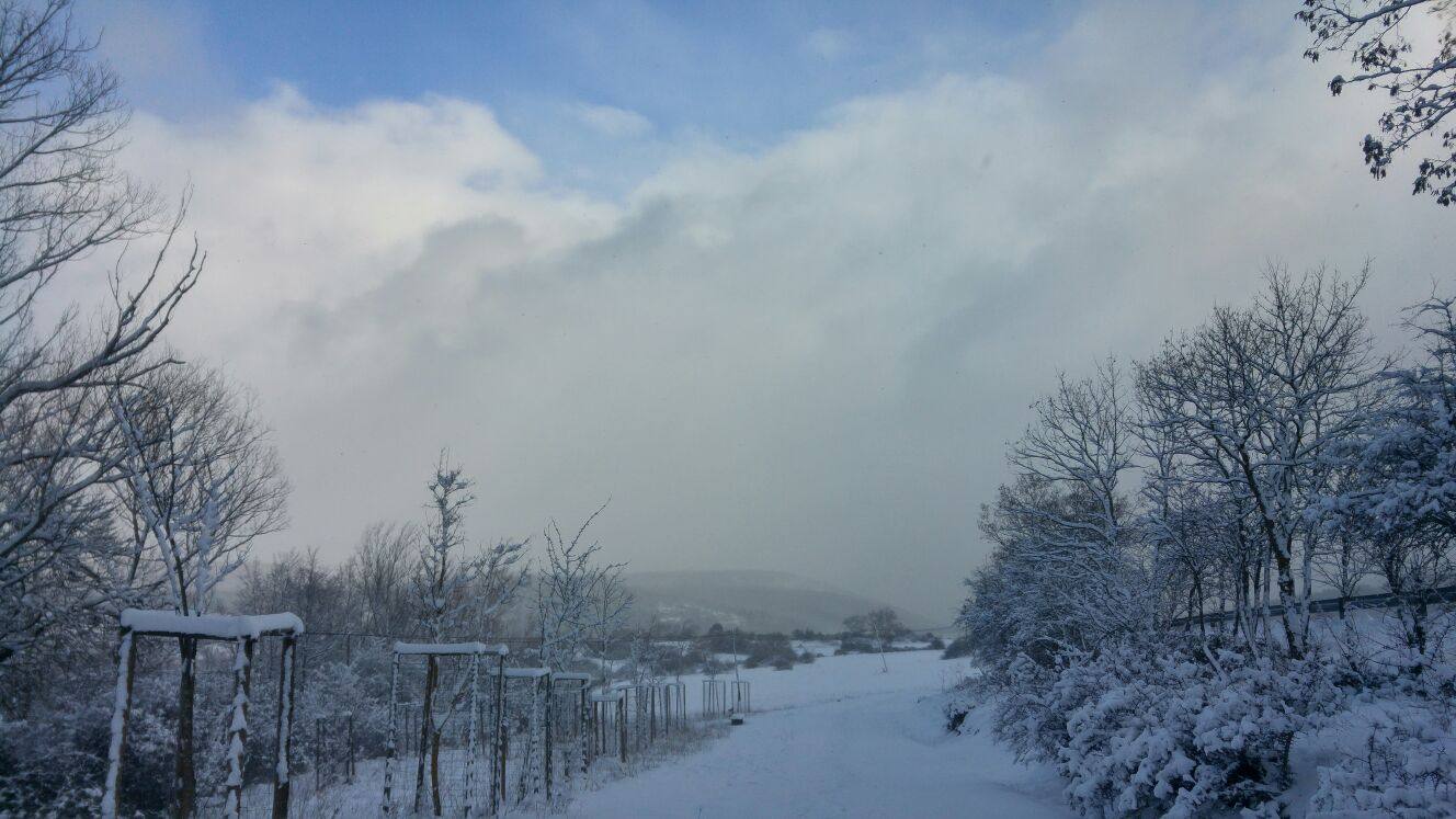 El rasillo, en blanco