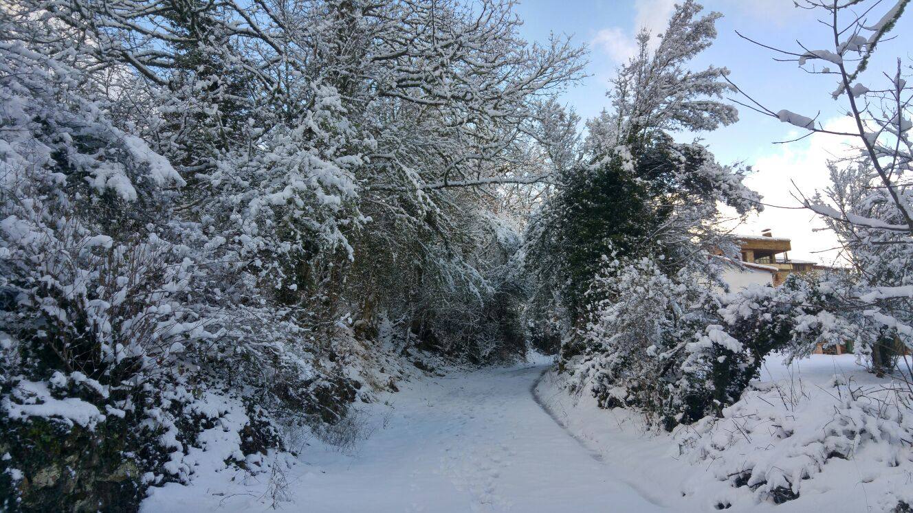 El rasillo, en blanco