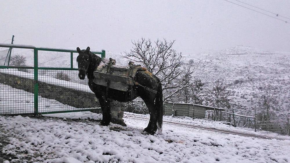 Jalón de Cameros se queda blanco
