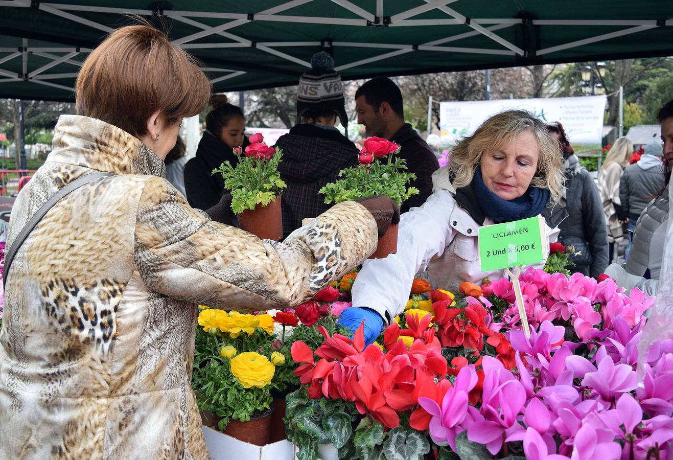 Florece el Espolón