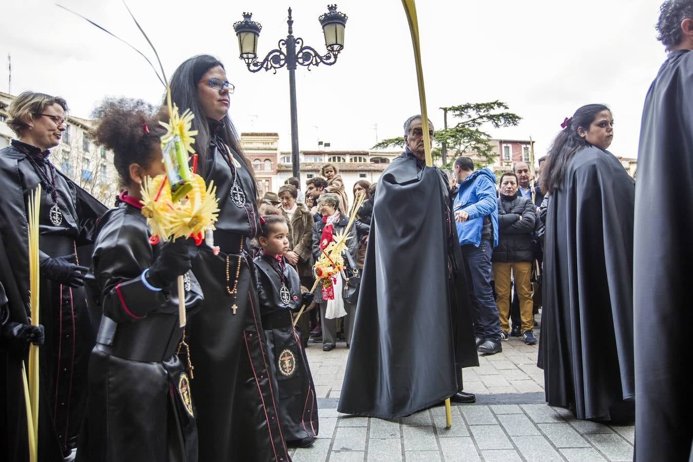 La borriquilla recorre Logroño