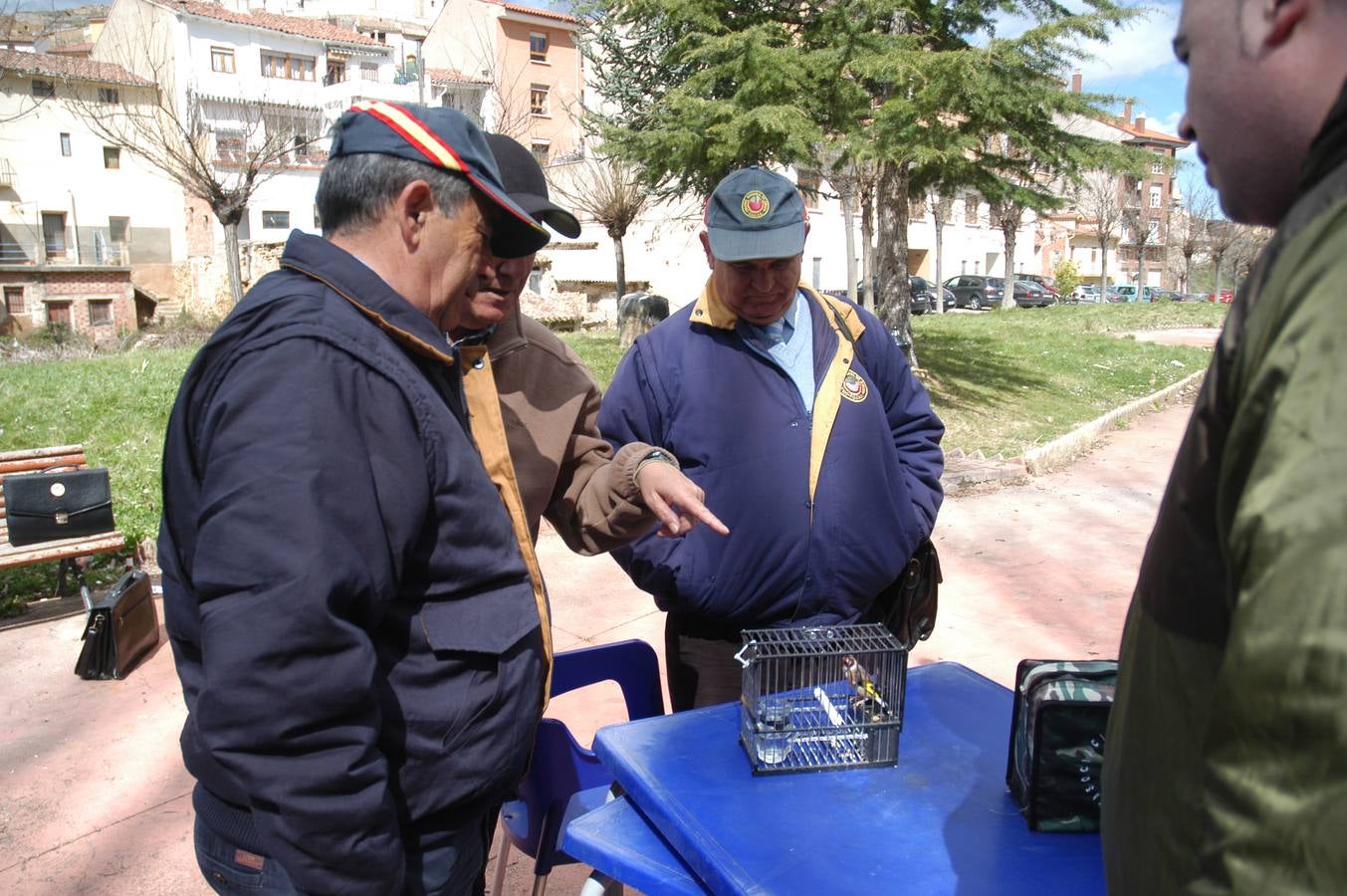 Concurso de canto de aves en Cervera
