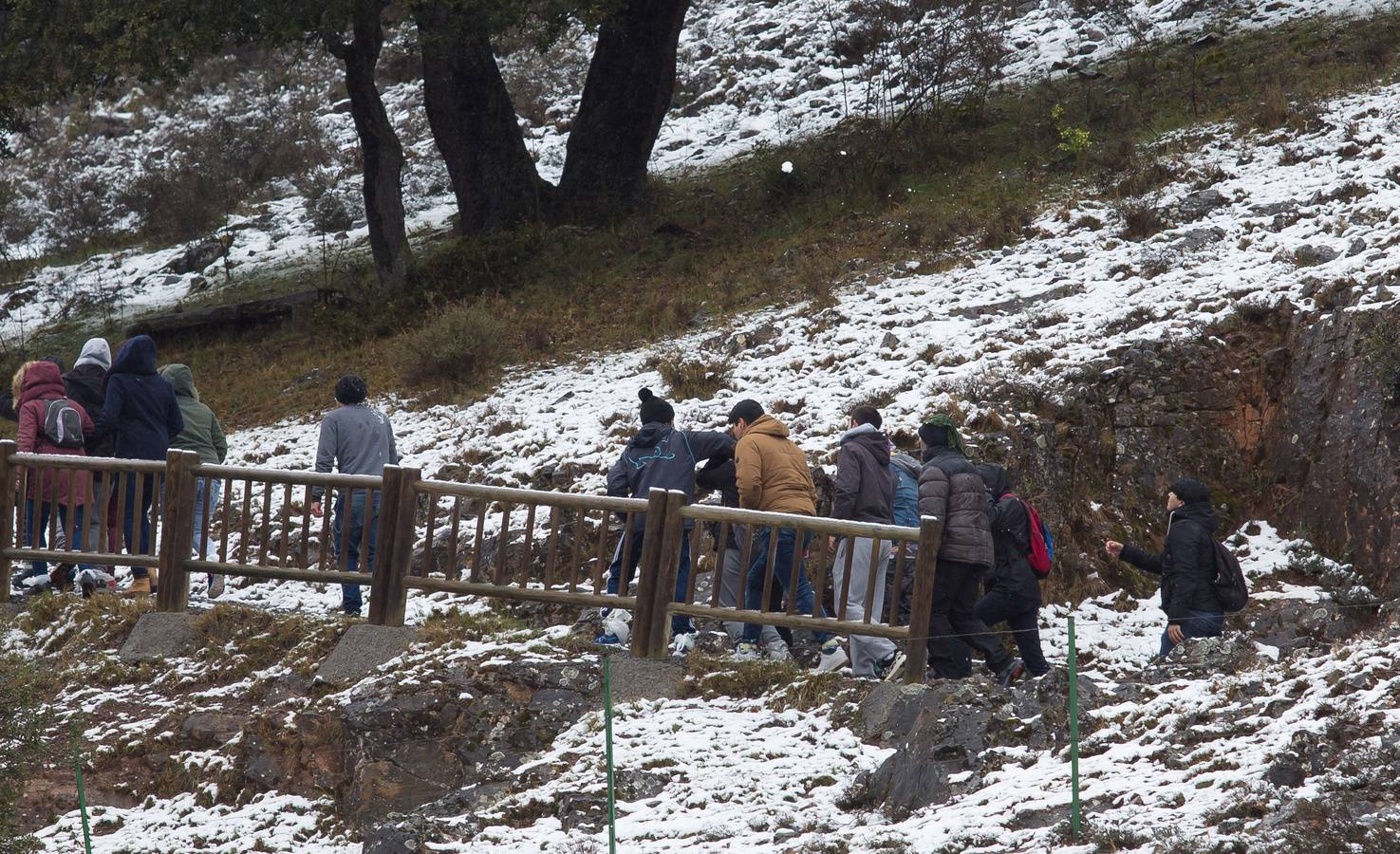 Nieve en Cameros