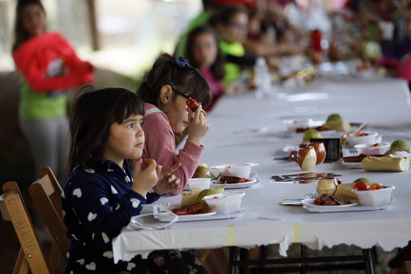 Bicipicnic a La Grajera