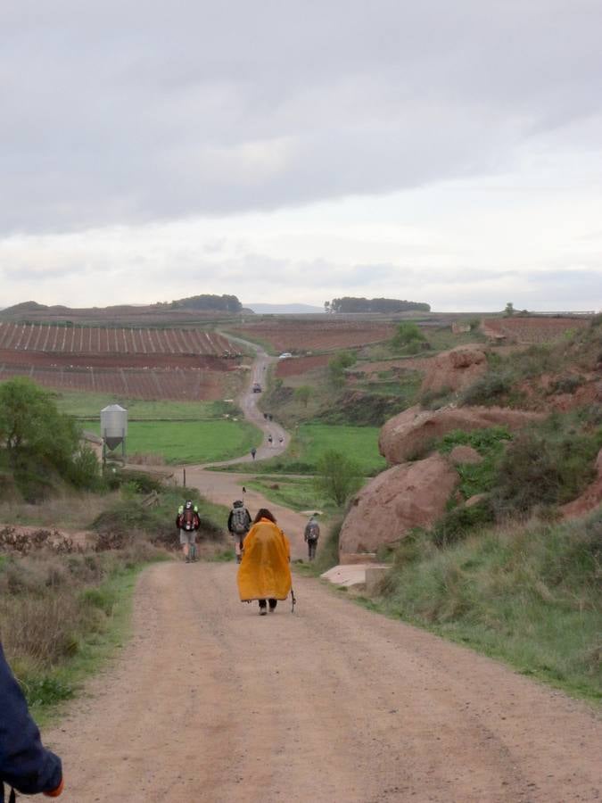 Experiencia peregrina en La Rioja Alta