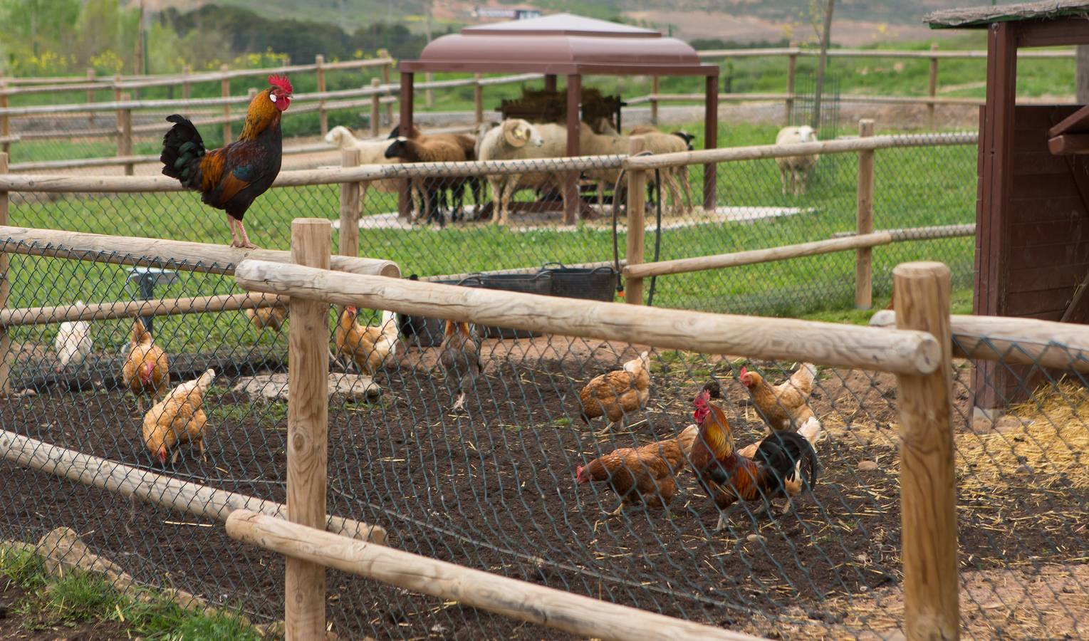 La granja de la Grajera  reabre sus puertas