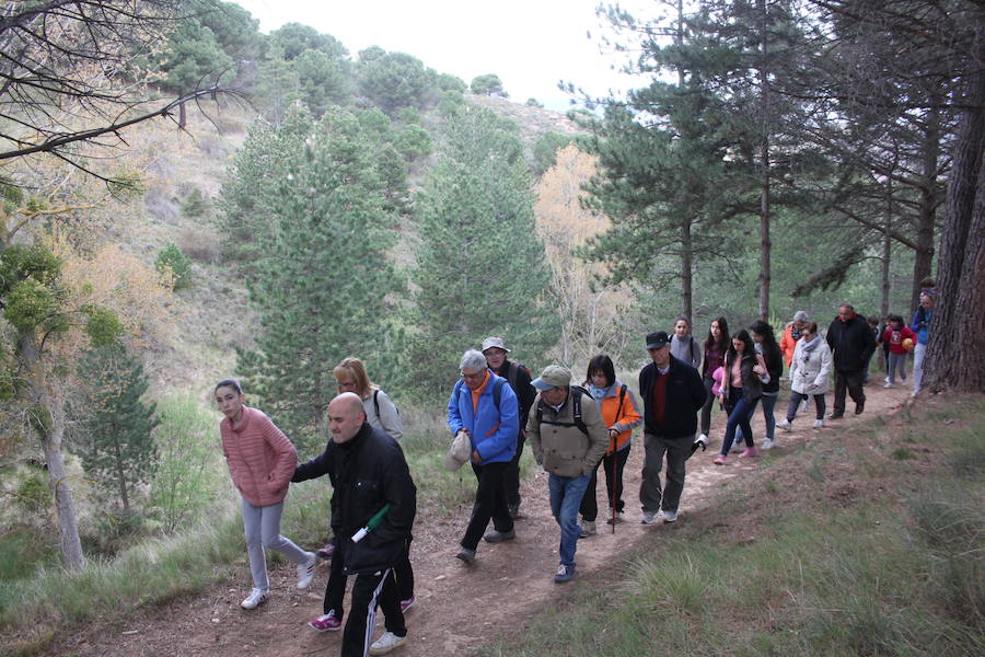 El sendero de la tradición