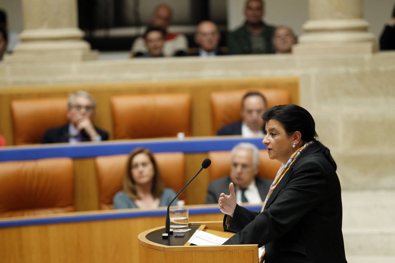 Una intensa sesión en el Parlamento riojano