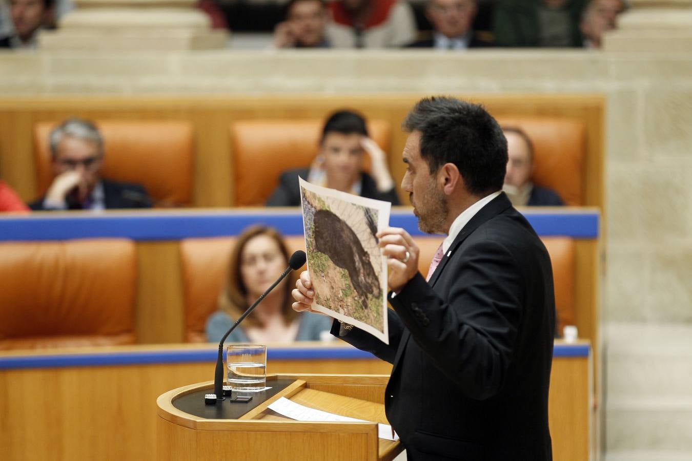 Una intensa sesión en el Parlamento riojano