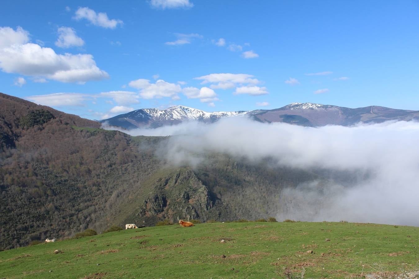 Empieza a retirarse la nieve del San Lorenzo