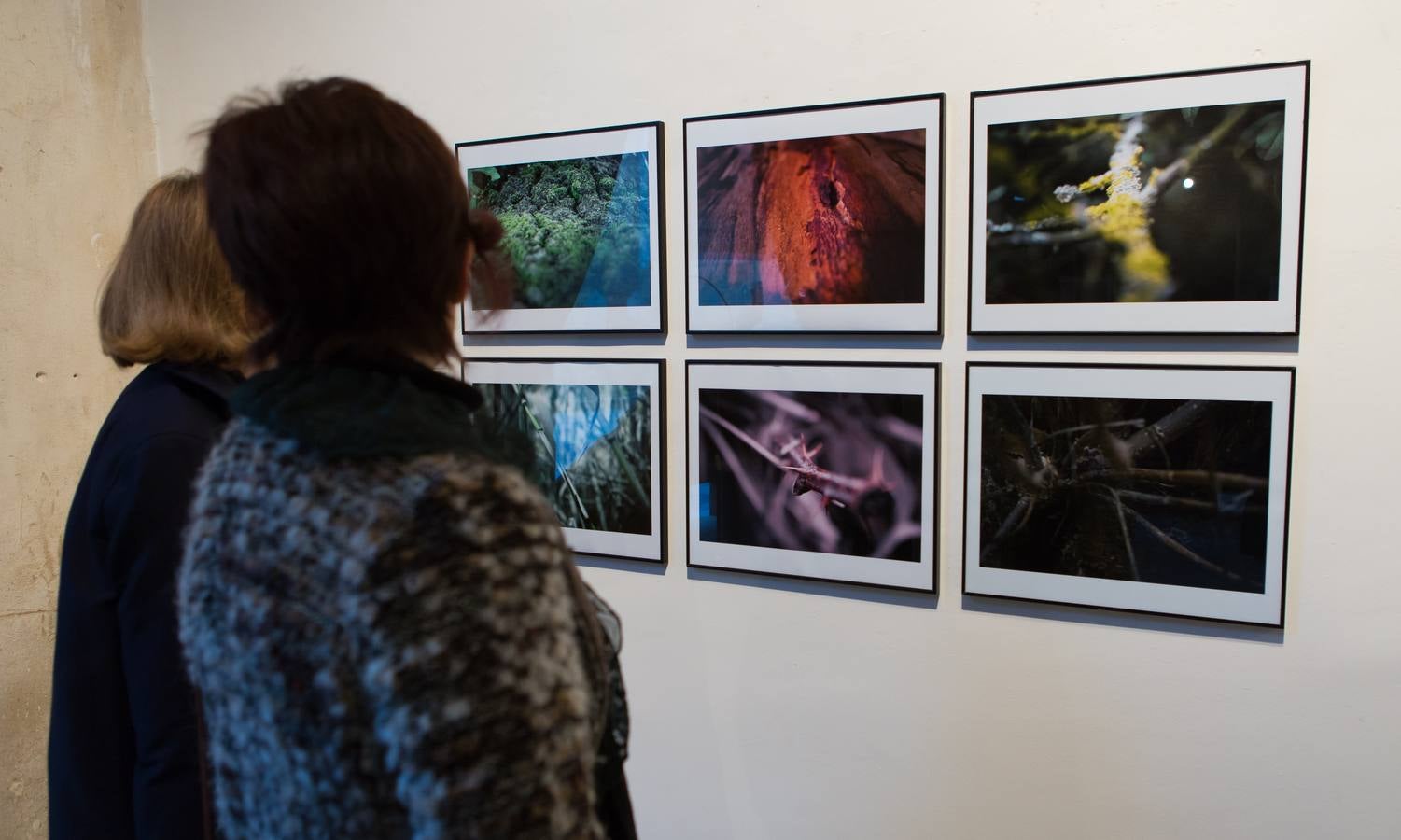 La Casa de La Imagen expone los trabajos de sus alumnos