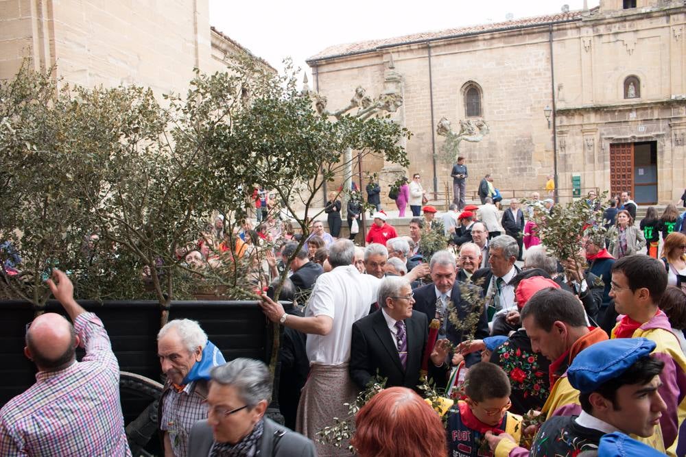 Primer día de fiestas en Santo Domingo: cohete, tradiciones y mucha diversión