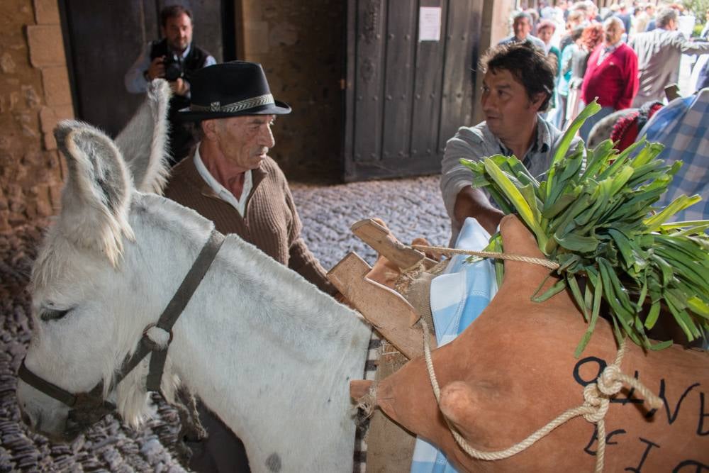 Procesión del Santo, procesión del Peregrino y el reparto de pan y la cebolleta en las fiestas de Santo Domingo (I)