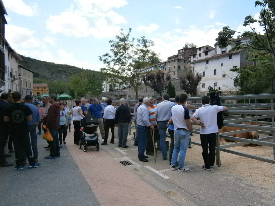 Feria del ganado en Soto en Cameros