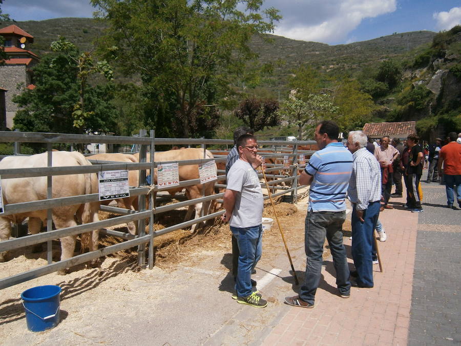 Feria del ganado en Soto en Cameros