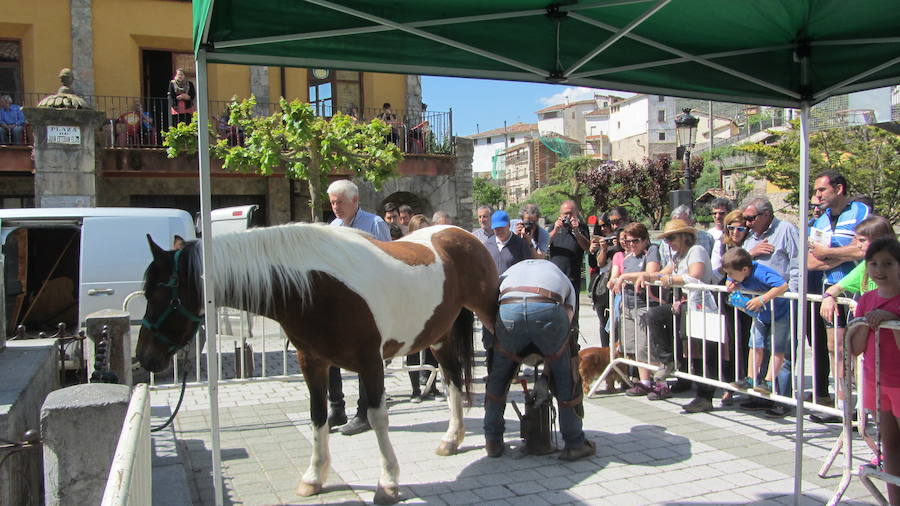 Feria del ganado en Soto en Cameros