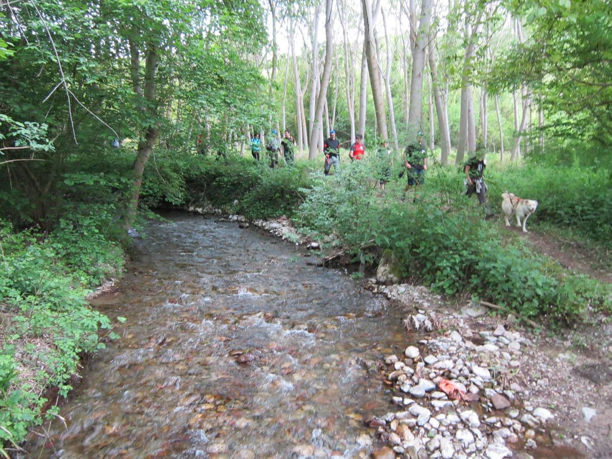 Marcha por los montes de Anguiano