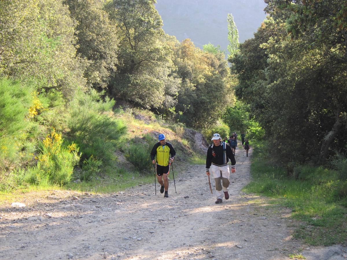 Marcha por los montes de Anguiano