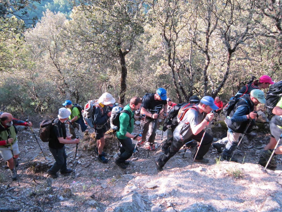 Marcha por los montes de Anguiano